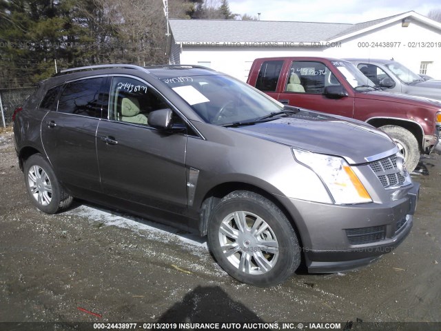 3GYFNAEY5BS657589 - 2011 CADILLAC SRX LUXURY COLLECTION TAN photo 1