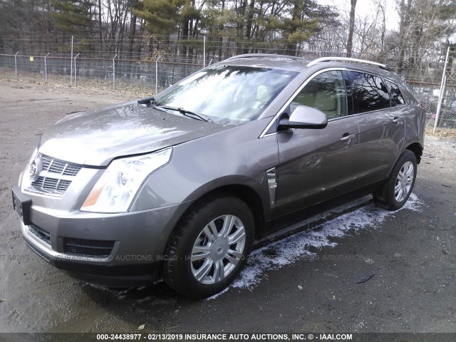 3GYFNAEY5BS657589 - 2011 CADILLAC SRX LUXURY COLLECTION TAN photo 2