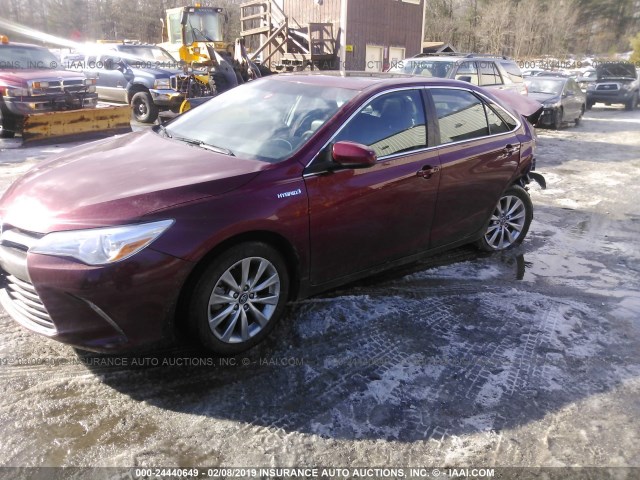 4T1BD1FK2HU224849 - 2017 TOYOTA CAMRY HYBRID/LE/XLE/SE MAROON photo 2