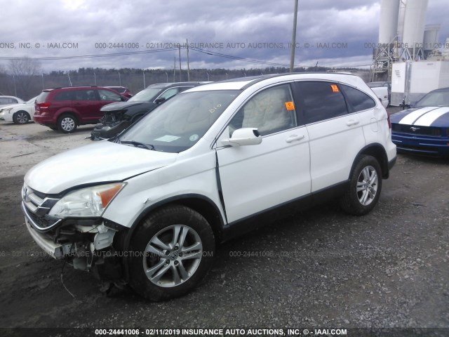 5J6RE3H75BL011535 - 2011 HONDA CR-V EXL WHITE photo 2