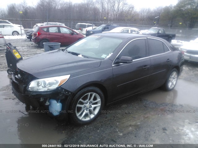 1G11C5SL6FF123624 - 2015 CHEVROLET MALIBU 1LT 紫色 照片 2