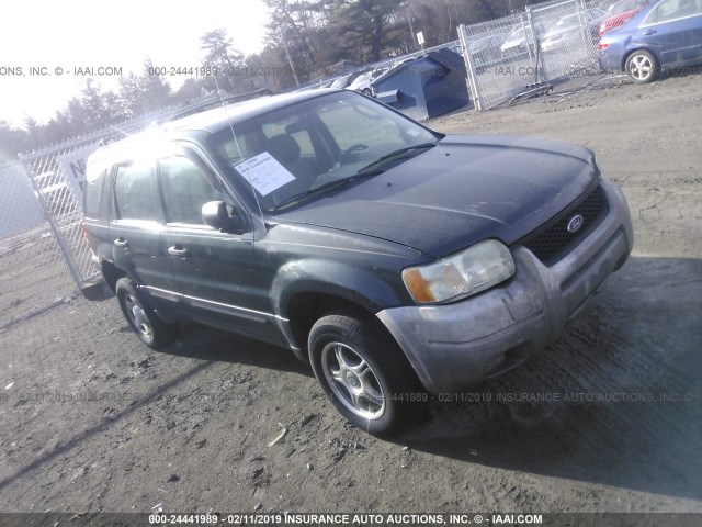 1FMYU92163KA78370 - 2003 FORD ESCAPE XLS GREEN photo 1