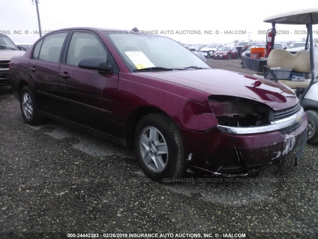 1G1ZT54845F295936 - 2005 CHEVROLET MALIBU LS SILVER photo 1