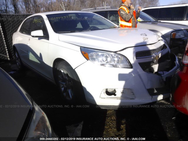 1G11C5SA6DF126597 - 2013 CHEVROLET MALIBU 1LT 白色 照片 1