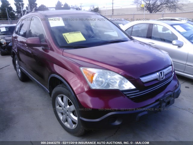 JHLRE48709C016876 - 2009 HONDA CR-V EXL BURGUNDY photo 1