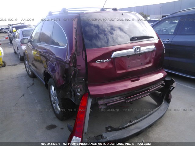 JHLRE48709C016876 - 2009 HONDA CR-V EXL BURGUNDY photo 3