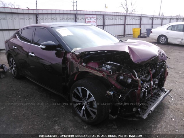 1N4AA6AP4HC370366 - 2017 NISSAN MAXIMA 3.5S/SV/SL/SR/PLAT MAROON photo 1