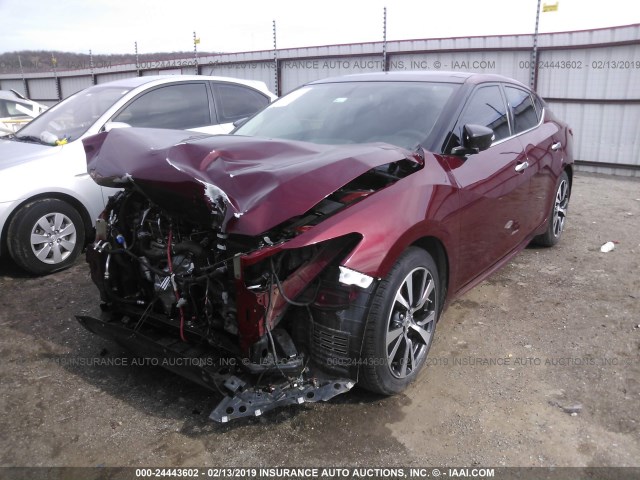 1N4AA6AP4HC370366 - 2017 NISSAN MAXIMA 3.5S/SV/SL/SR/PLAT MAROON photo 2