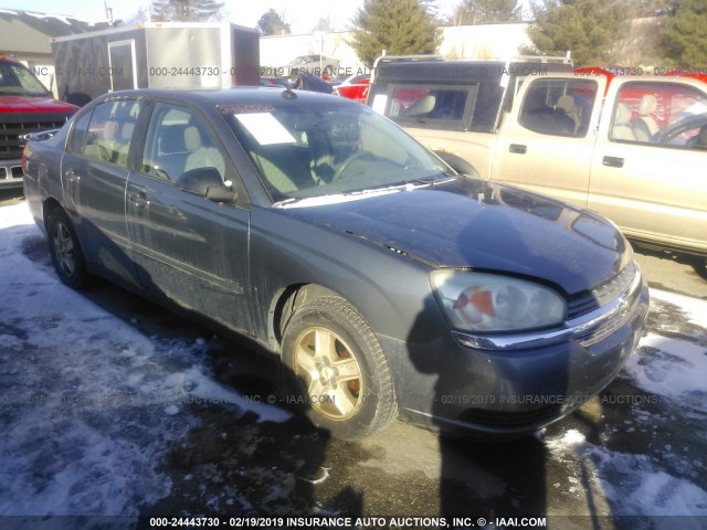 1G1ZT54875F311028 - 2005 CHEVROLET MALIBU LS Boz foto 1