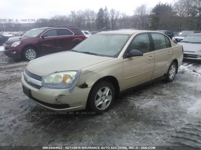 1G1ZT52845F127698 - 2005 CHEVROLET MALIBU LS Алтын фото 2