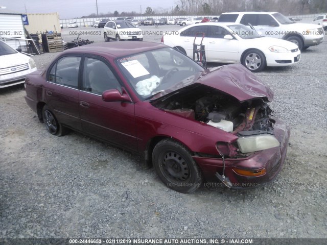 2T1BB02EXTC153717 - 1996 TOYOTA COROLLA DX BURGUNDY photo 1