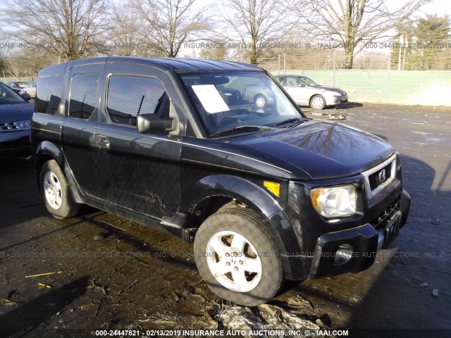 5J6YH28523L032968 - 2003 HONDA ELEMENT EX BLACK photo 1