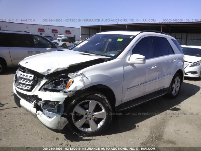 4JGBB8GB3BA685712 - 2011 MERCEDES-BENZ ML 350 4MATIC WHITE photo 2