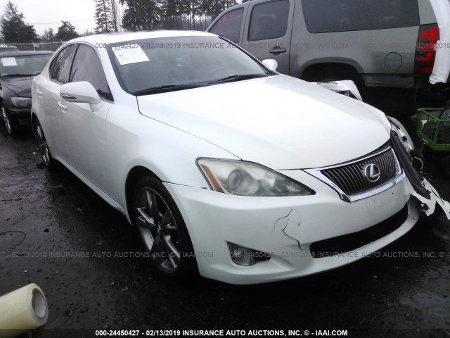 JTHBF5C25A5122650 - 2010 LEXUS IS 250 WHITE photo 1