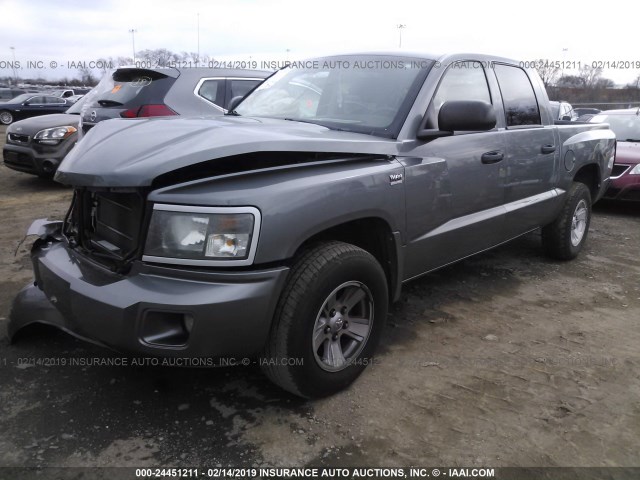 1D3HE38P29S787162 - 2009 DODGE DAKOTA SXT GRAY photo 2