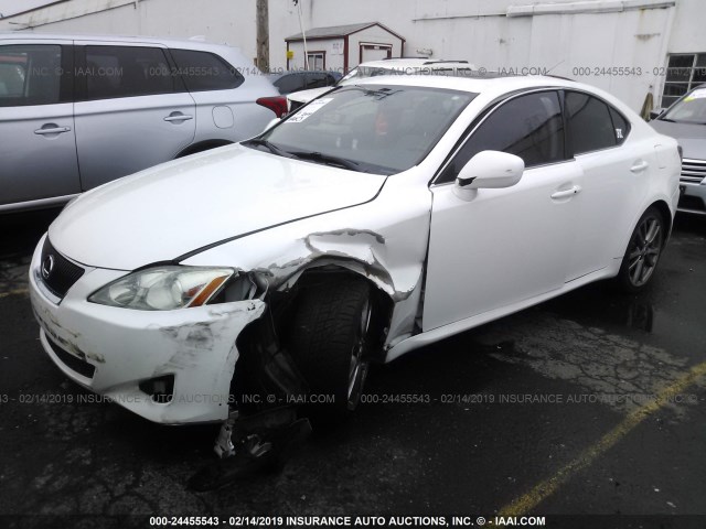 JTHBK262285069583 - 2008 LEXUS IS 250 WHITE photo 2