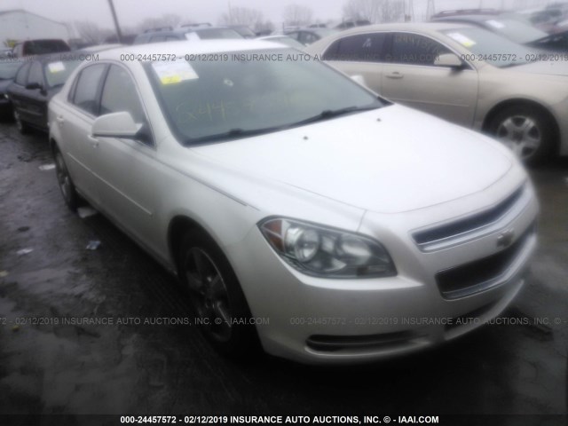 1G1ZC5E13BF235904 - 2011 CHEVROLET MALIBU 1LT 奶油色 照片 1