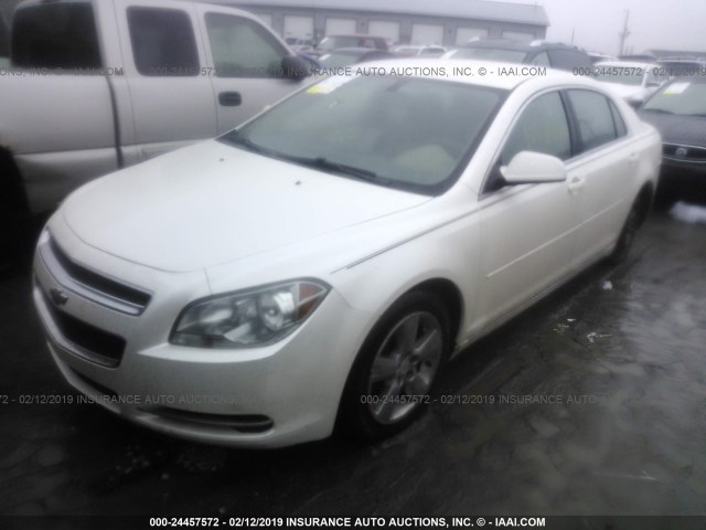 1G1ZC5E13BF235904 - 2011 CHEVROLET MALIBU 1LT 奶油色 照片 2