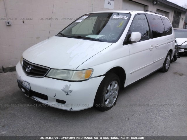 5FNRL18683B084796 - 2003 HONDA ODYSSEY EX WHITE photo 2