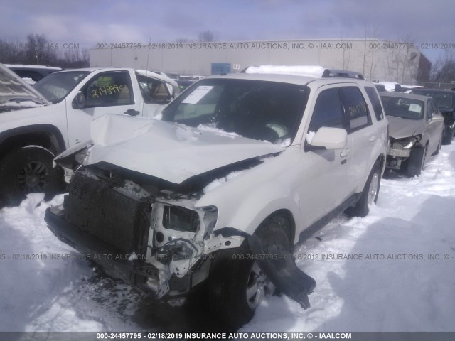 1FMCU9EG1CKC46720 - 2012 FORD ESCAPE LIMITED WHITE photo 2