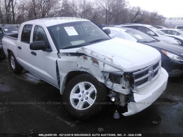 1D7RW3GK0AS221270 - 2010 DODGE DAKOTA SXT WHITE photo 1