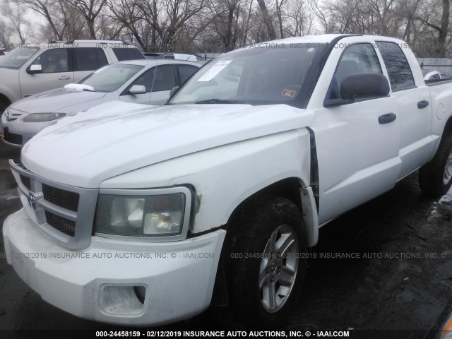 1D7RW3GK0AS221270 - 2010 DODGE DAKOTA SXT WHITE photo 2