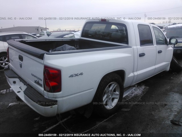 1D7RW3GK0AS221270 - 2010 DODGE DAKOTA SXT WHITE photo 4