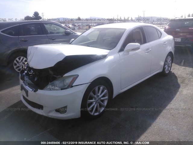 JTHBF5C2XA2097178 - 2010 LEXUS IS 250 WHITE photo 2