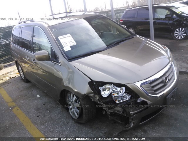 5FNRL38638B408613 - 2008 HONDA ODYSSEY EXL GOLD photo 1