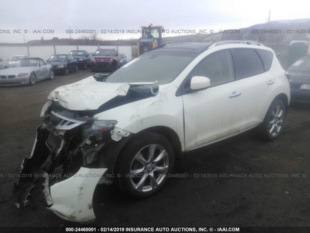 JN8AZ1MWXEW531911 - 2014 NISSAN Murano S/SL/SV/LE WHITE photo 2