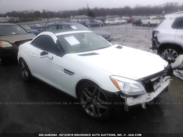 WDDPK4HA9EF079420 - 2014 MERCEDES-BENZ SLK 250 WHITE photo 1