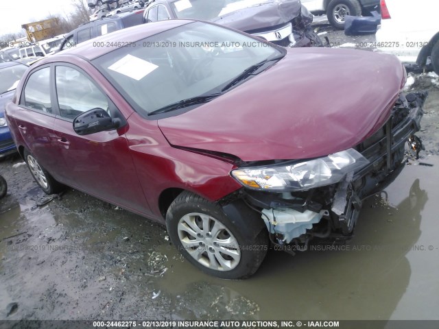 KNAFU4A28C5587753 - 2012 KIA FORTE EX RED photo 1