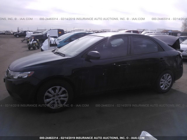 KNAFU4A27C5641236 - 2012 KIA FORTE EX BLACK photo 2