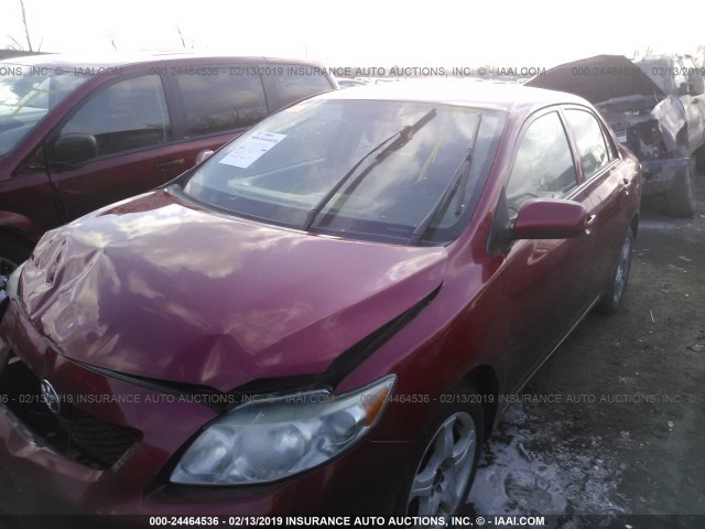 2T1BU4EE2AC494023 - 2010 TOYOTA COROLLA S/LE/XLE RED photo 2