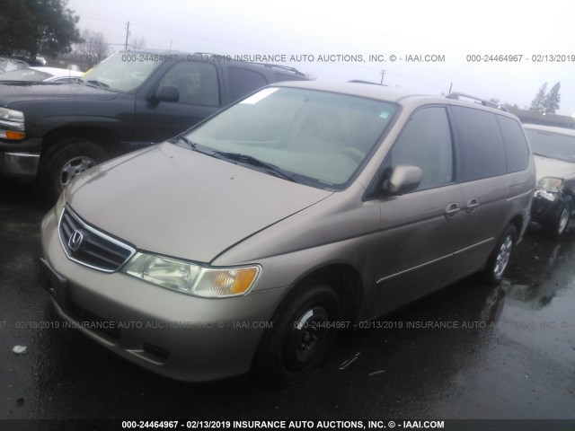 5FNRL18993B129092 - 2003 HONDA ODYSSEY EXL GOLD photo 2