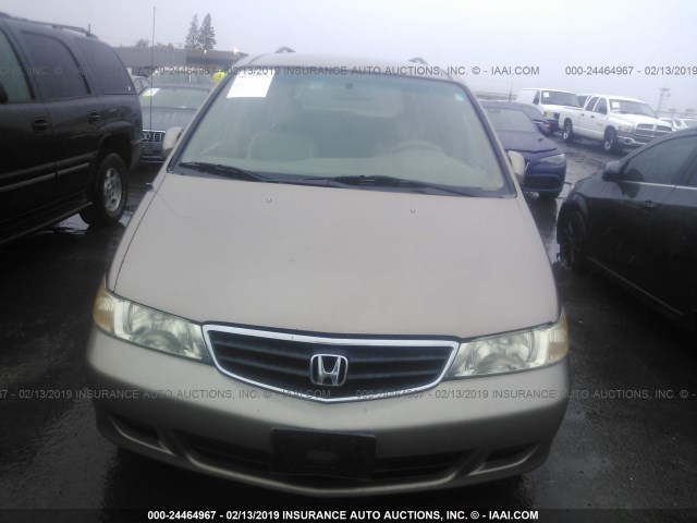 5FNRL18993B129092 - 2003 HONDA ODYSSEY EXL GOLD photo 6