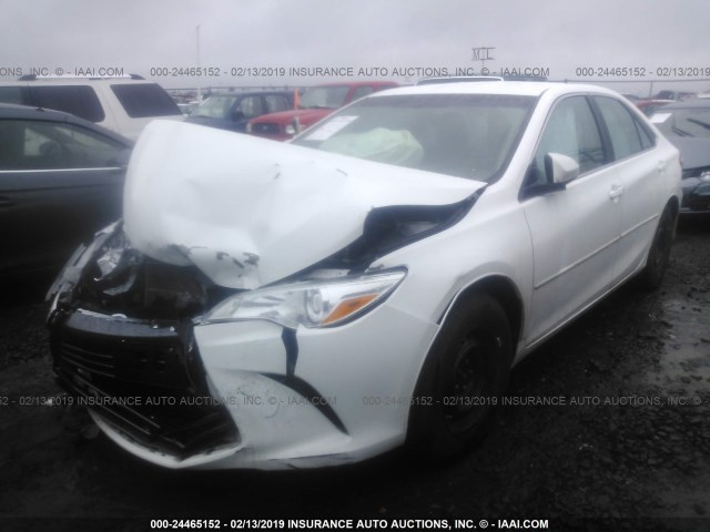 4T4BF1FK4GR529252 - 2016 TOYOTA CAMRY LE/XLE/SE/XSE თეთრი ფოტო 2