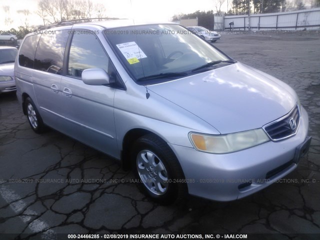 5FNRL18094B042537 - 2004 HONDA ODYSSEY EXL SILVER photo 1