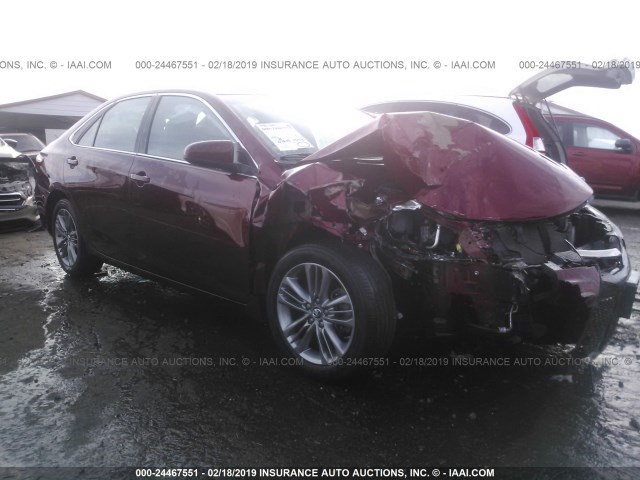 4T1BF1FK5GU519310 - 2016 TOYOTA CAMRY LE/XLE/SE/XSE 红色 照片 1