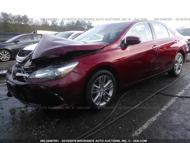 4T1BF1FK5GU519310 - 2016 TOYOTA CAMRY LE/XLE/SE/XSE 红色 照片 2