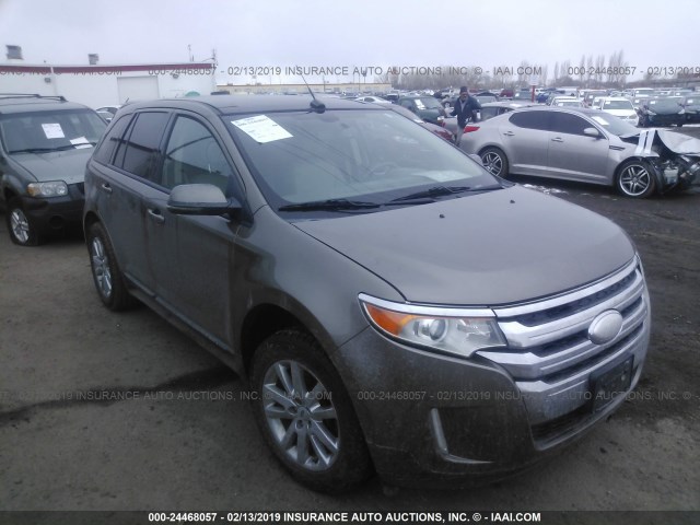 2FMDK3J97CBA82527 - 2012 FORD EDGE SEL CREAM photo 1