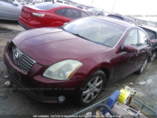 1N4BA41E44C809552 - 2004 NISSAN MAXIMA SE/SL RED photo 2