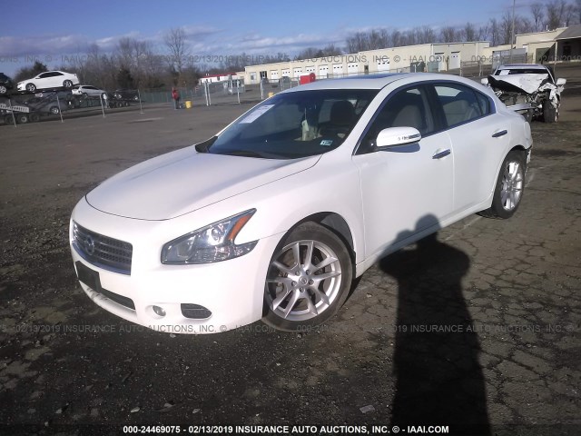 1N4AA5AP5BC866682 - 2011 NISSAN MAXIMA S/SV WHITE photo 2