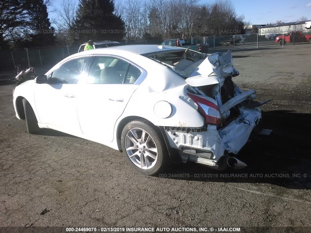 1N4AA5AP5BC866682 - 2011 NISSAN MAXIMA S/SV WHITE photo 3