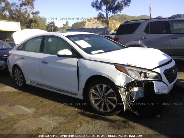 5NPE34AF9GH377494 - 2016 HYUNDAI SONATA SPORT/LIMITED WHITE photo 1