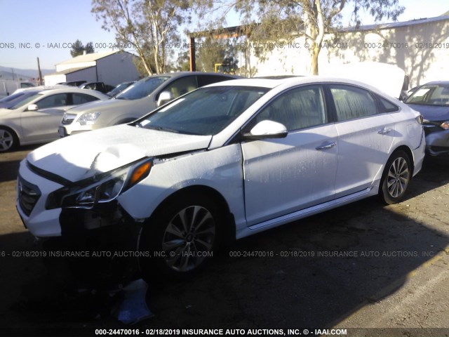 5NPE34AF9GH377494 - 2016 HYUNDAI SONATA SPORT/LIMITED WHITE photo 2