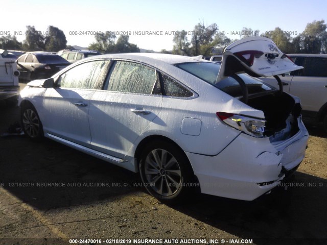 5NPE34AF9GH377494 - 2016 HYUNDAI SONATA SPORT/LIMITED WHITE photo 3