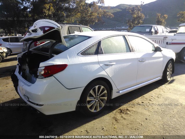 5NPE34AF9GH377494 - 2016 HYUNDAI SONATA SPORT/LIMITED WHITE photo 4