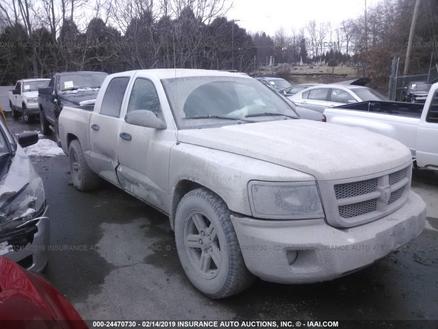 1D7RW3GK0BS631696 - 2011 DODGE DAKOTA SLT WHITE photo 1