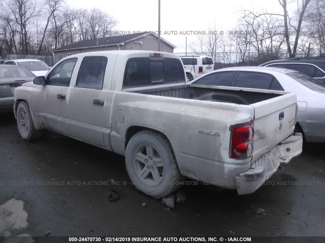 1D7RW3GK0BS631696 - 2011 DODGE DAKOTA SLT WHITE photo 3